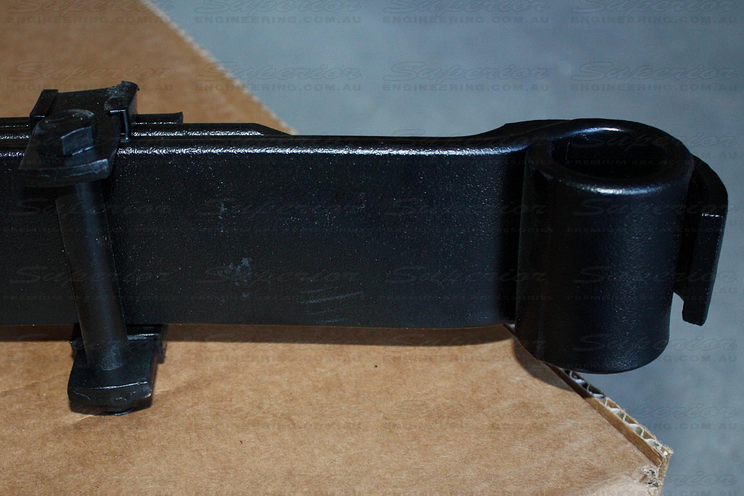 End view of the pin mount end of the leaf spring